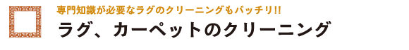 ラグ、カーペットのクリーニング