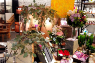 お花とインテリアのコラボレーション企画beijaflor meets LIVING HOUSE.