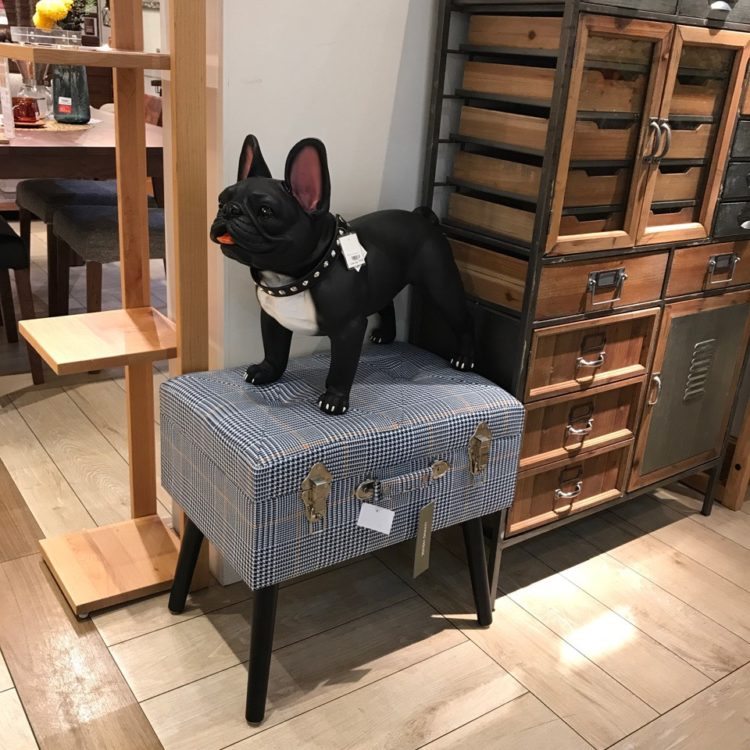 トランクスツール入荷しました☆ | 家具・インテリアショップのLIVING トランクスツール入荷しました☆ | 家具・インテリアショップのLIVING